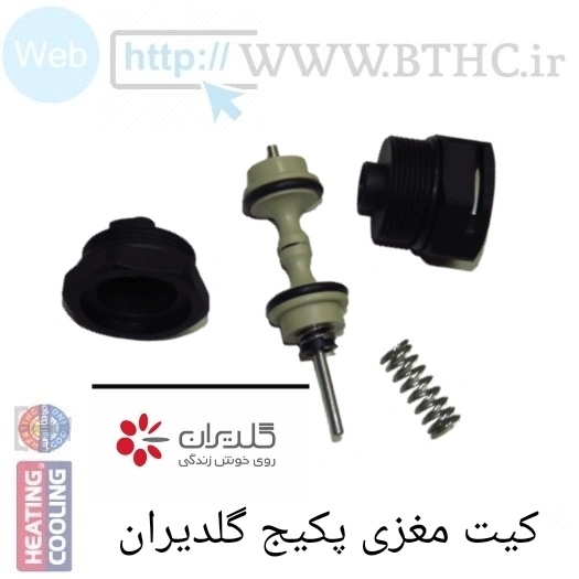 (10 عددی ) مغزی پکیج گلدیران کیت E 1448 