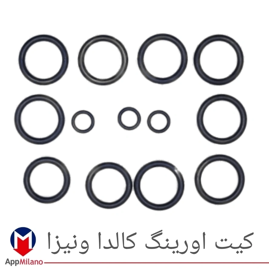 10 عددی// کیت اورینگ پکیج کالداونیزا کد 2388 - O