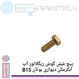 (100 عدد )پیچ شش گوش بوتان  3574 - J