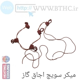 میکروسوئیچ اجاق گاز گرد 0670