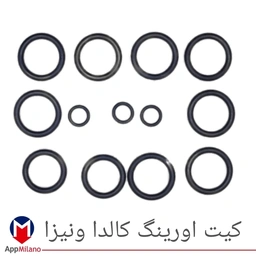 کیت اورینگ پکیج کالداونیزا کد 2388 - O