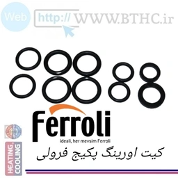 کیت اورینگ پکیج  فرولی کد  1129 - O