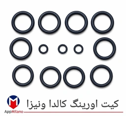 10 عددی// کیت اورینگ پکیج کالداونیزا کد 2388 - O